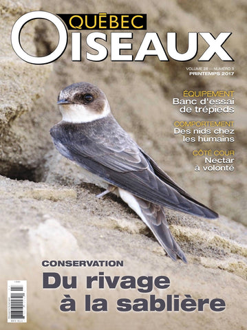 QuébecOiseaux 28(3)