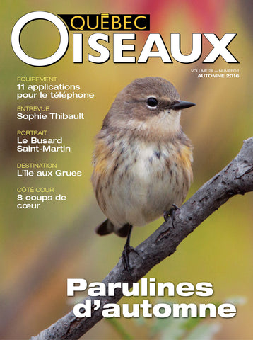 QuébecOiseaux 28(1)