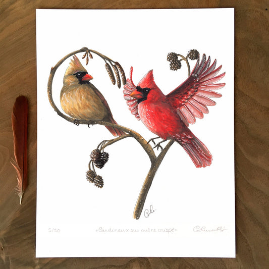 Impression d'art - Cardinaux sur aulne crispé 10 x 8 po - Giclée numérotée et signée