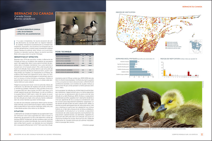 Deuxième Atlas des oiseaux nicheurs du Québec méridional