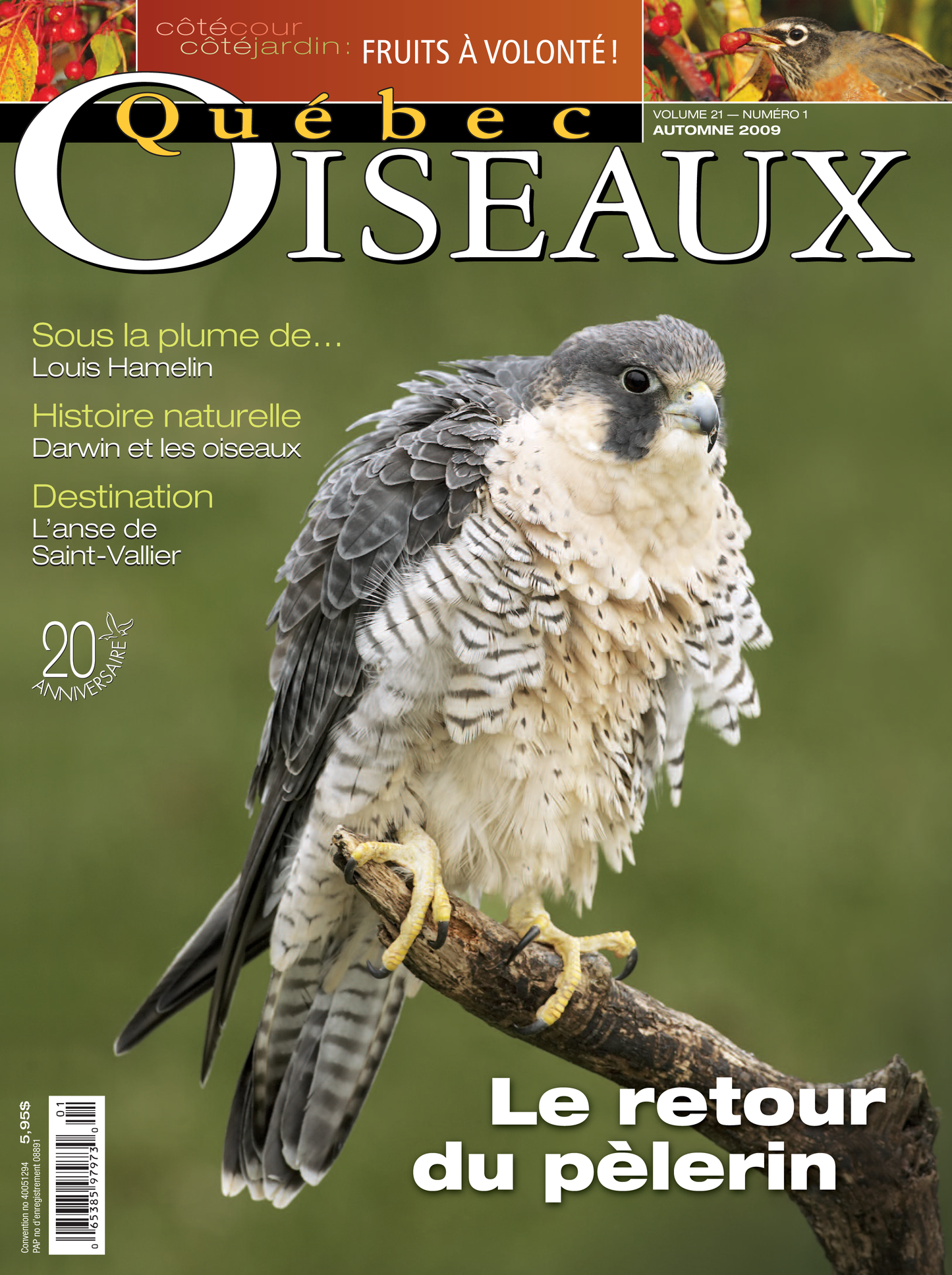 QuébecOiseaux 21(1)