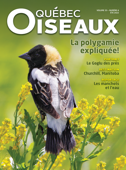 QuébecOiseaux 33(4)